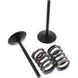 Inlet valve and spring set 28SIS34062