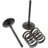Inlet valve and spring set 28SIS34072