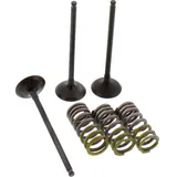 Inlet valve and spring set 28SIS24022