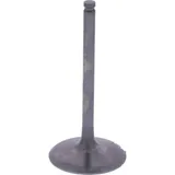 Intake valve ti prox 2824502