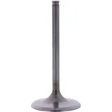 Intake valve ti prox 2864192