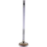 Intake valve (orig spare part) 1009518