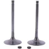 Intake valve kit (OE spare part) for: BMW G