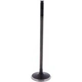 Intake valve (orig spare part) 1009597