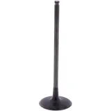 Intake valve (orig spare part) 1009754