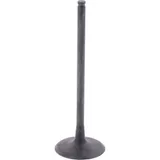 Intake valve (orig spare part) 1009756