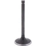 Intake valve (orig spare part) 1009765