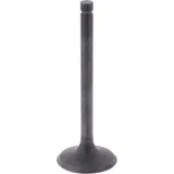 Intake valve (orig spare part) 1009780