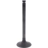 Intake valve (orig spare part) 1013092