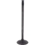 Intake valve (orig spare part) 1013103