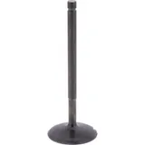 Intake valve (orig spare part) 1013229