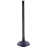 Exhaust valve (OE spare part) for: Beta Alp 4. 0, M4, Euro