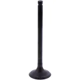 Exhaust valve (OE spare part) for: Beta Alp