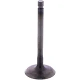 Intake valve (OE spare part) for: Beta RR, Urban, RE
