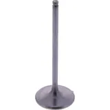 Intake valve titanium prox 2843502