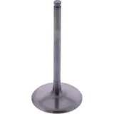 Intake valve titanium prox