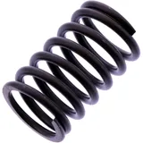 Valve spring for: BMW R