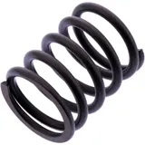 Valve spring for: BMW R 7471961