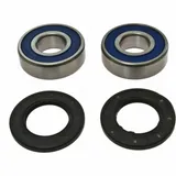 Wheel bearing and seal kit 251553