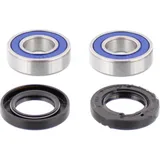 Wheel bearing and seal kit 251070