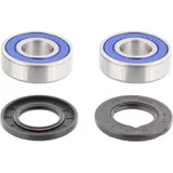Wheel bearing and seal kit 251093