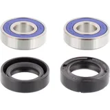 Wheel bearing and seal kit 251009