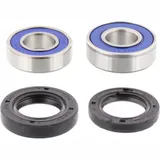 Wheel bearing and seal kit 251160