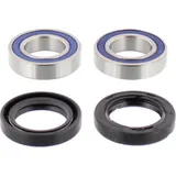 Wheel bearing and seal kit 251092