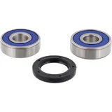 Wheel bearing and seal kit 251323