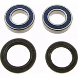 Wheel bearing and seal kit 251102