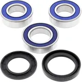 Wheel bearing and seal kit 251111