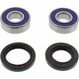 Wheel bearing and seal kit 251218