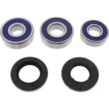 Wheel bearing and seal kit 251232
