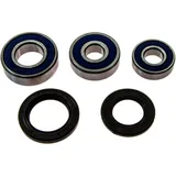 Wheel bearing and seal kit 251234