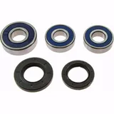 Wheel bearing and seal kit 251257