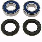 Wheel bearing and seal kit 251276