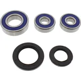 Wheel bearing and seal kit 251284