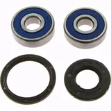 Wheel bearing and seal kit 251312