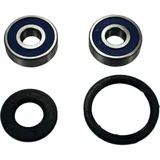 Wheel bearing and seal kit 251316
