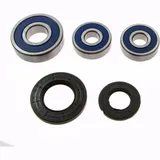 Wheel bearing and seal kit 251344