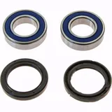 Wheel bearing and seal kit 251351