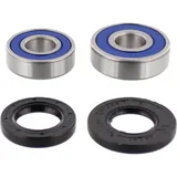 Wheel bearing and seal kit 251206