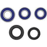Wheel bearing and seal kit 251230