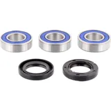 Wheel bearing and seal kit 251233