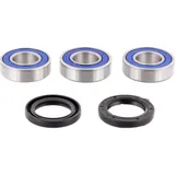 Wheel bearing and seal kit 251243