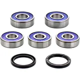 Wheel bearing and seal kit 251505