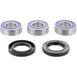 Wheel bearing and seal kit 251271