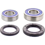 Wheel bearing and seal kit 251252