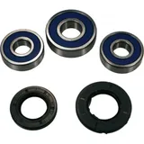 Wheel bearing and seal kit 251358