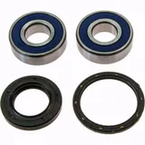 Wheel bearing and seal kit 251380